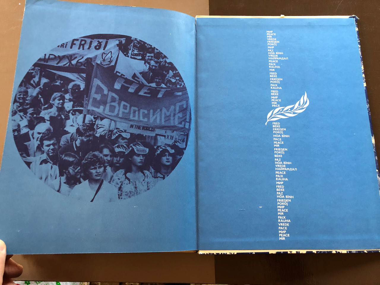 IMG_2771__05204.1760006306.1280.1280.JPG (1280×960)