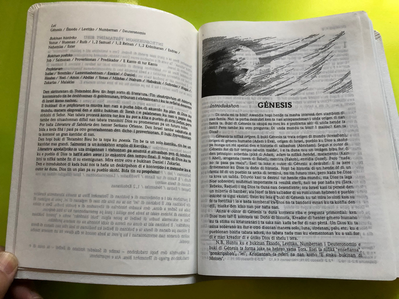 IMG_4777__74618.1763109524.1280.1280.JPG (1280×960)