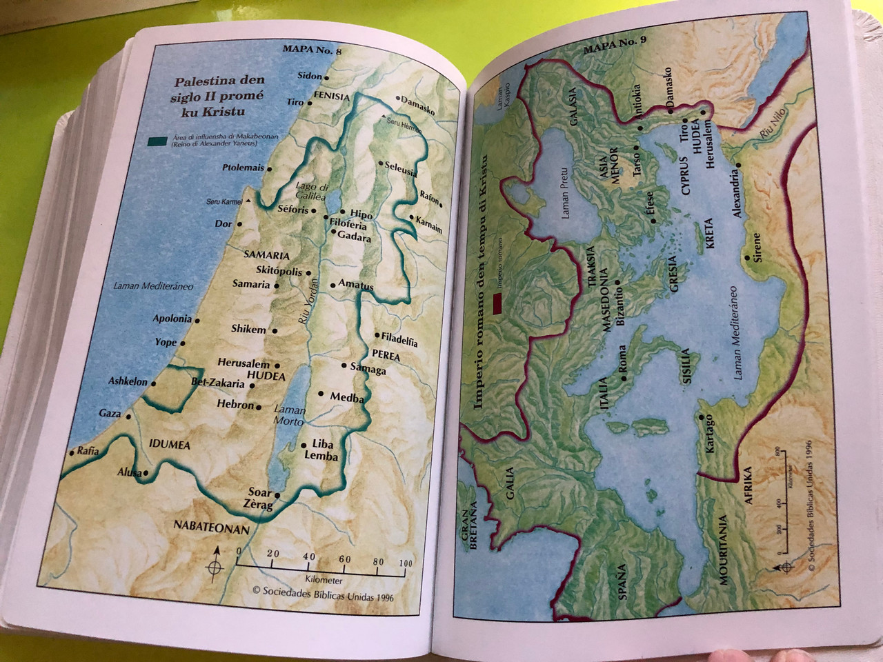 IMG_4786__68086.1763109631.1280.1280.JPG (1280×960)