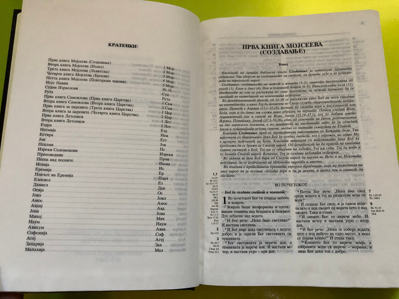 IMG_4873__90114.1763114716.1280.1280.JPG (1280×960)