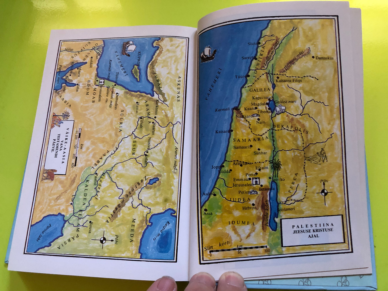 IMG_4915__42973.1763116035.1280.1280.JPG (1280×960)