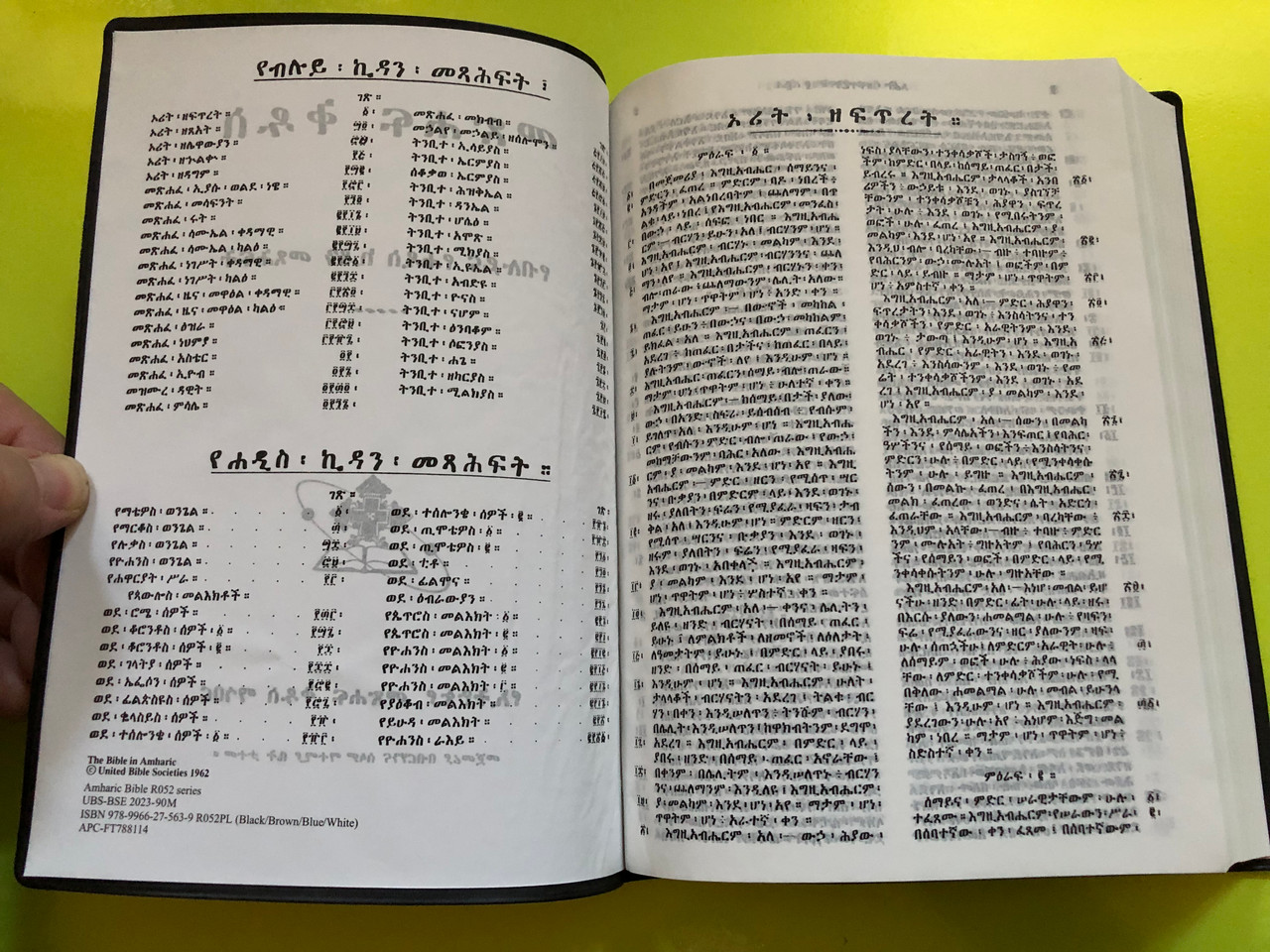 IMG_5021__82959.1763143826.1280.1280.JPG (1280×960)