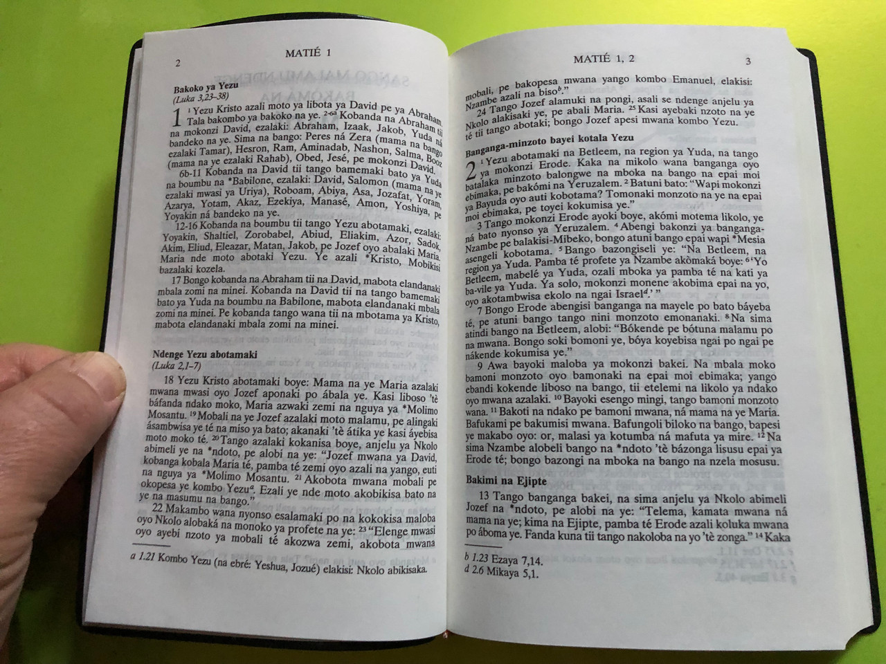 IMG_5131__62691.1763189941.1280.1280.JPG (1280×960)