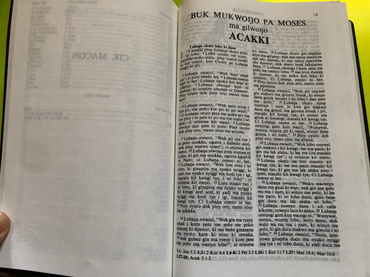 IMG_5217__59650.1763214967.1280.1280.JPG (1280×960)