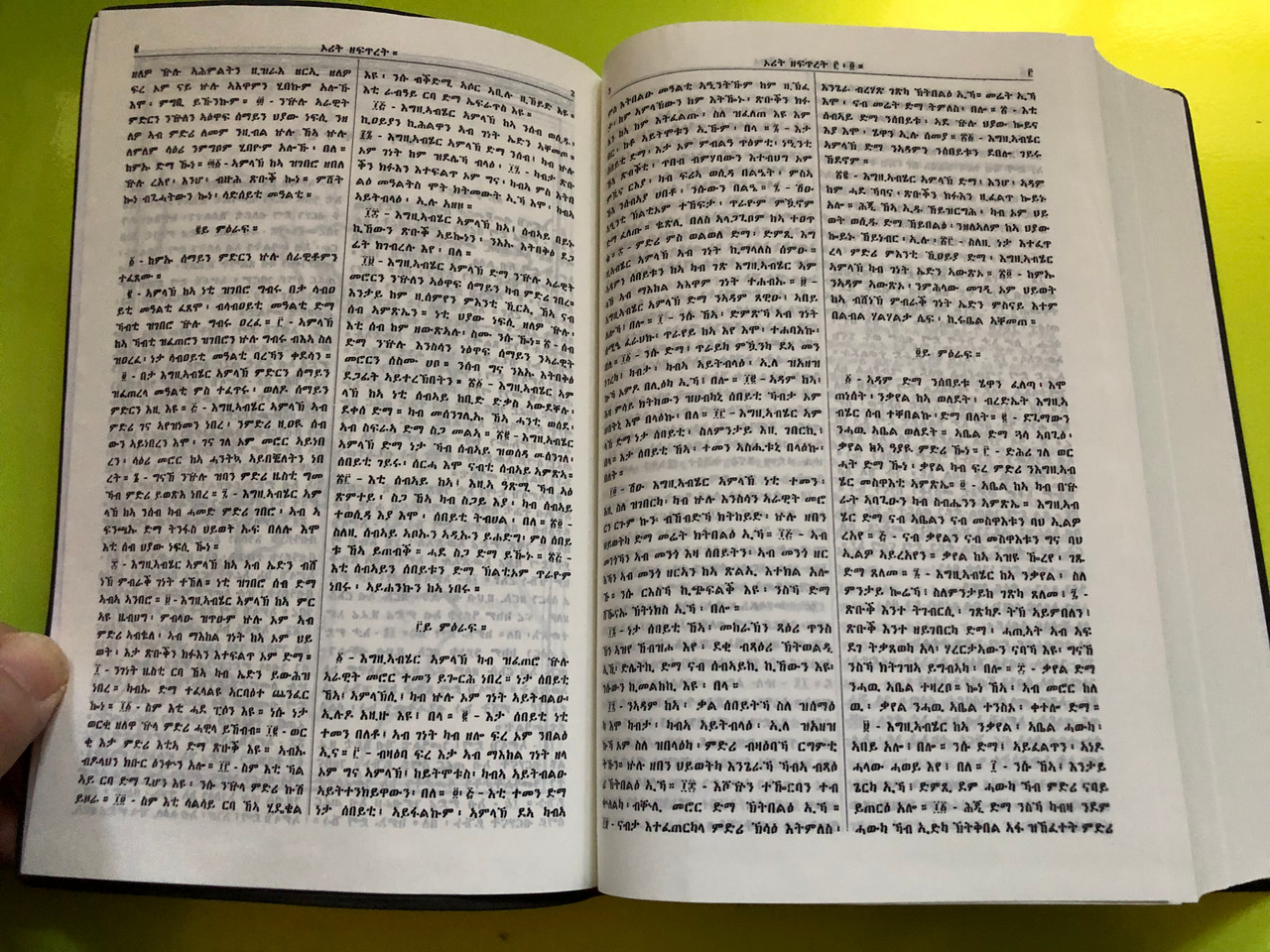 IMG_5239__42912.1763358491.1280.1280.JPG (1280×960)