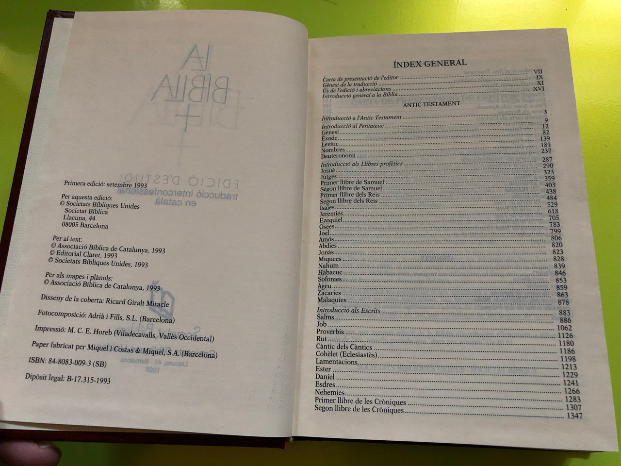 IMG_5338__94921.1763362348.1280.1280.JPG (1280×960)