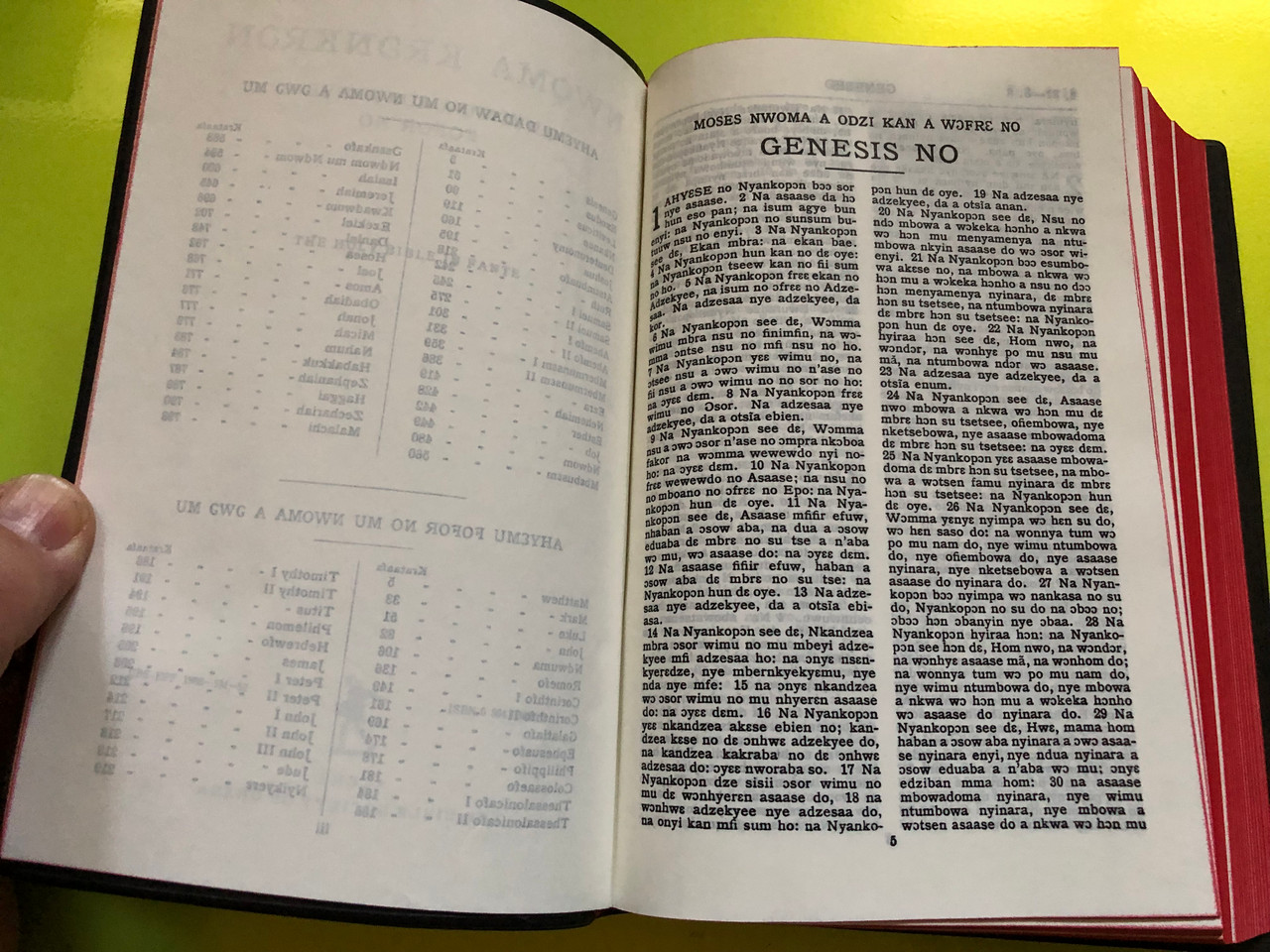 IMG_5466__45634.1763374547.1280.1280.JPG (1280×960)