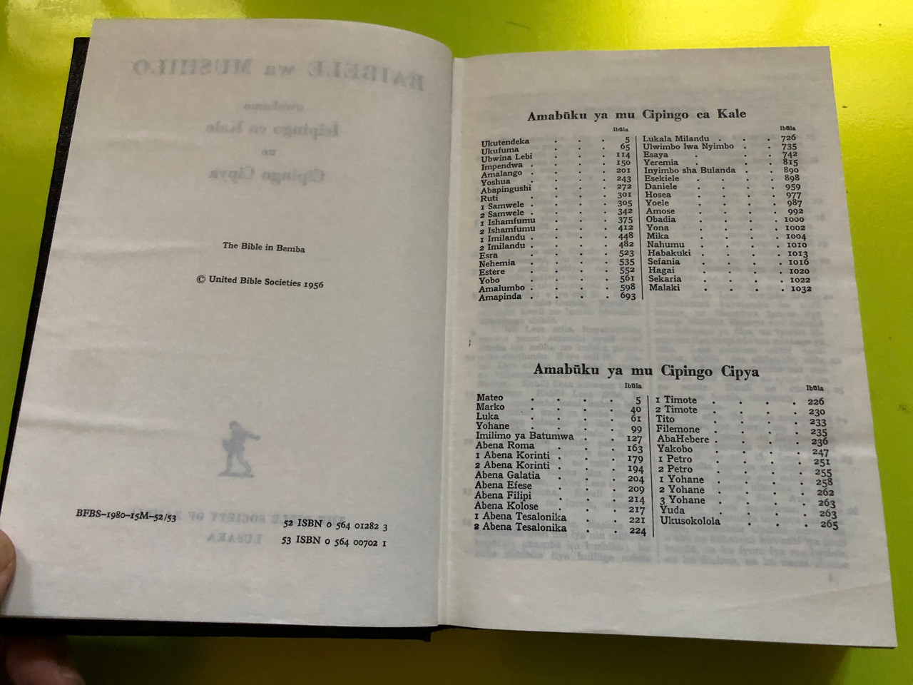 IMG_5500__75053.1763376084.1280.1280.JPG (1280×960)