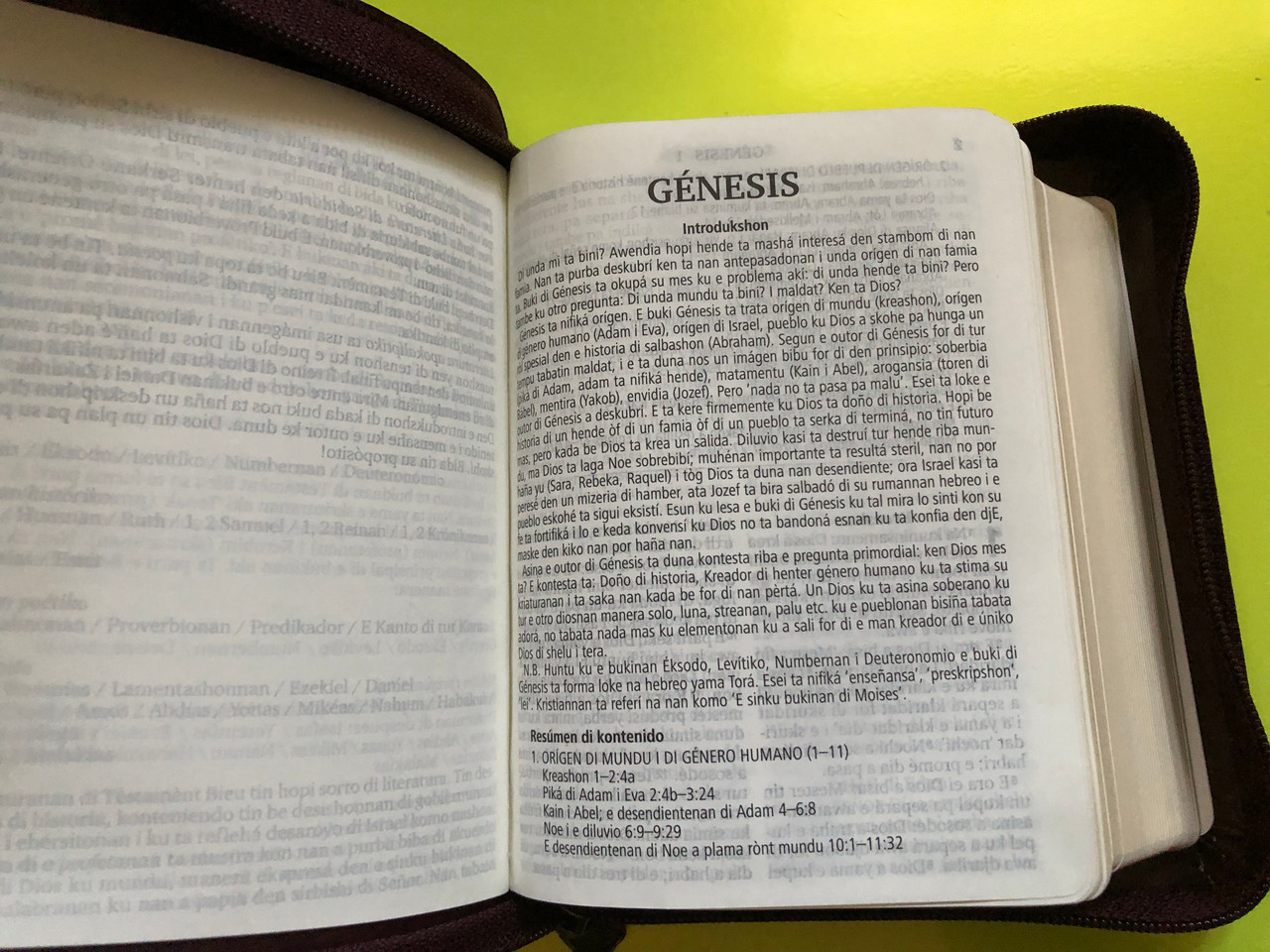 IMG_5588__91921.1763380644.1280.1280.JPG (1280×960)