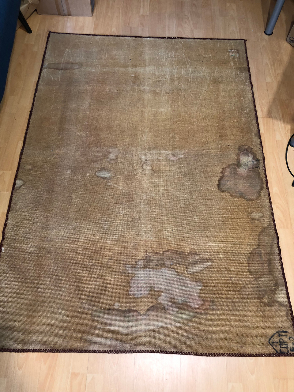 IMG_5810__92775.1765276628.1280.1280.JPG (960×1280)