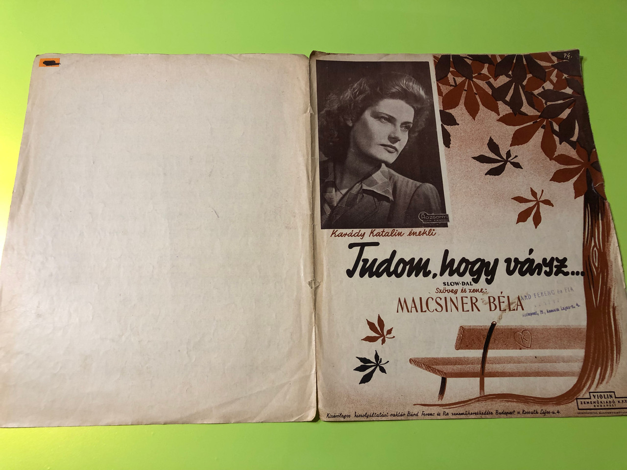 IMG_7920__78727.1766036022.1280.1280.JPG (1280&times;960)