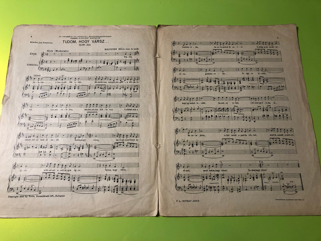 IMG_7918__02283.1766036022.1280.1280.JPG (1280&times;960)