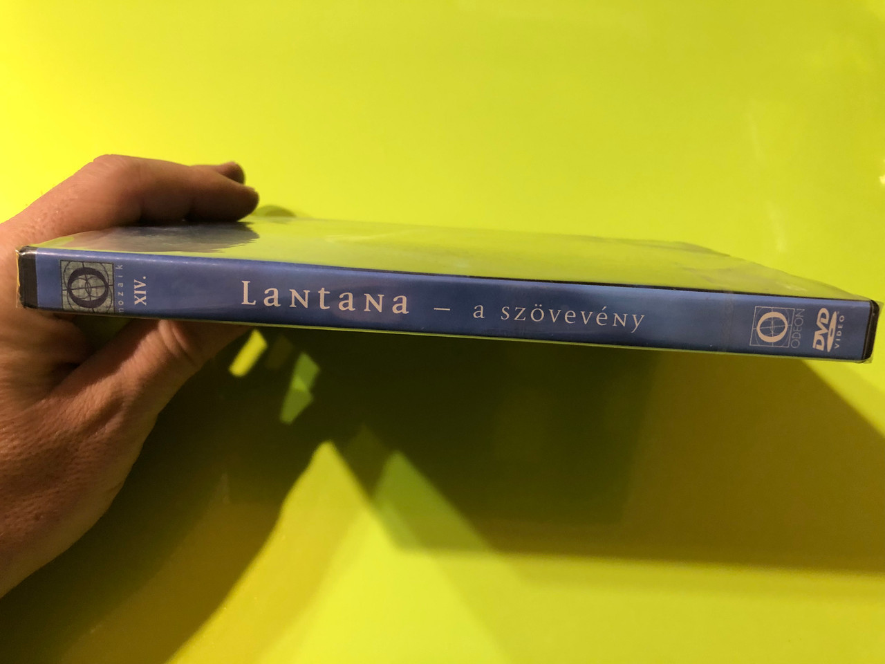 IMG_8329__91318.1767002754.1280.1280.JPG (1280&times;960)