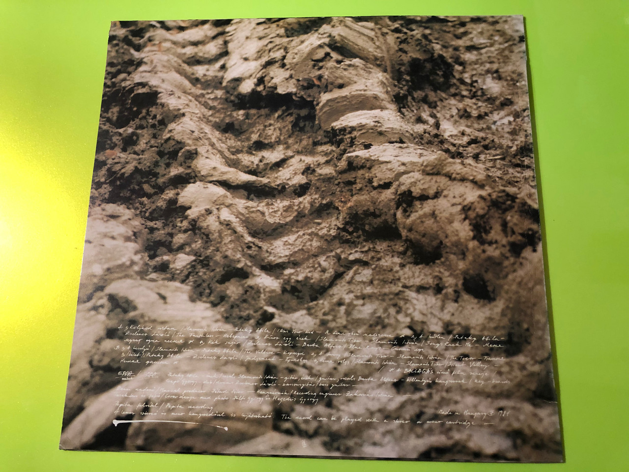 IMG_9106__83804.1774328707.1280.1280.JPG (1280&times;960)