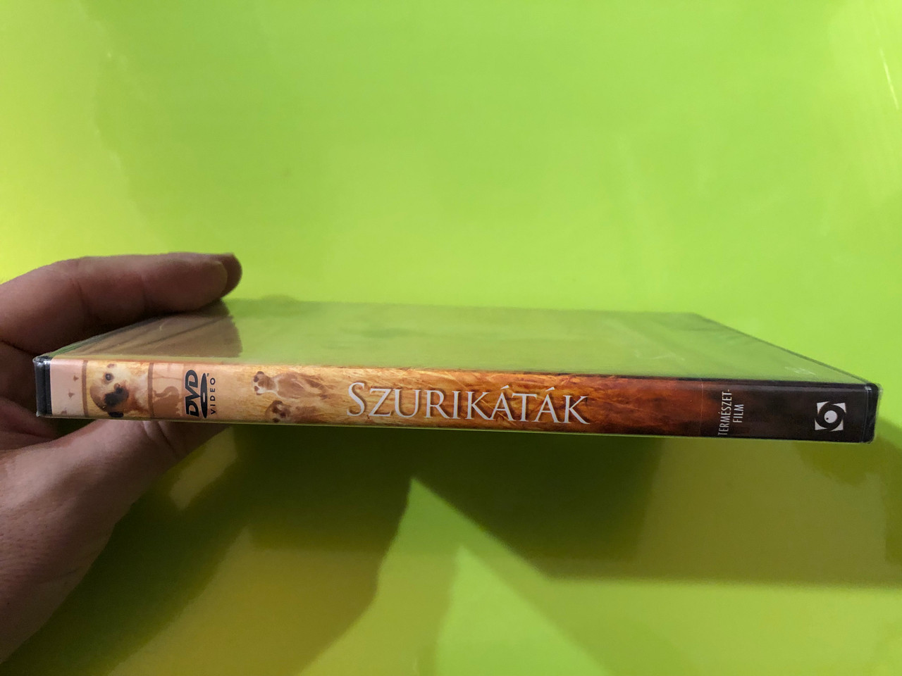 IMG_4416__78569.1775201437.1280.1280.JPG (1280&times;960)