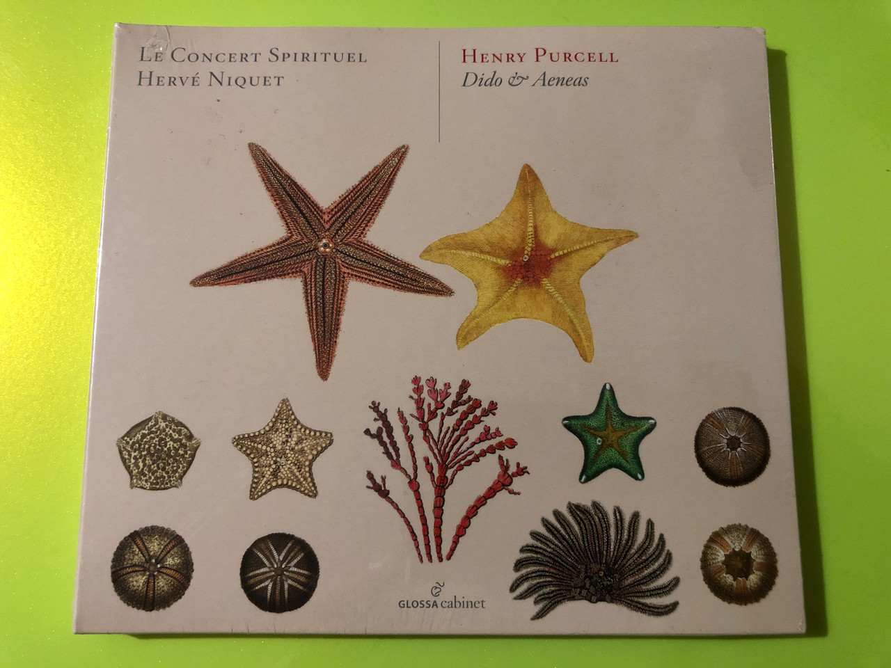 IMG_1597__13613.1777271818.1280.1280.JPG (1280&times;960)