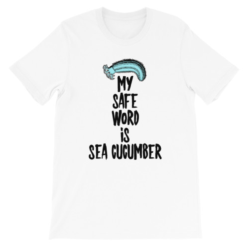 Rick-And-Morty-Sea-Cucumber_mockup_Front_Flat_White__18537.1567444099.jpg