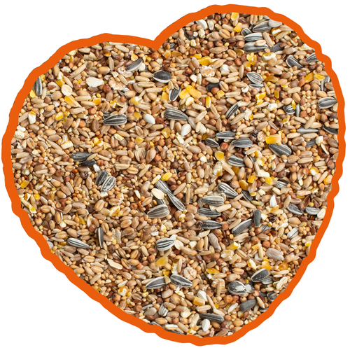 Duvo Wild Bird Seed 20kg