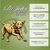 Dr. John Hypoallergenic lamb with rice and vegetables