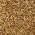 Dried Mealworms