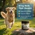 Booster Bites Bone Broth Powder