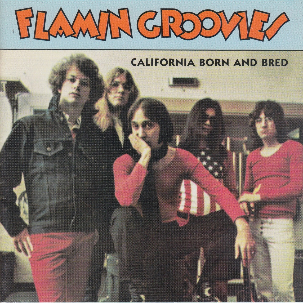 243 FLAMIN GROOVIES - CALIFORNIA BORN AND BRED CD (243) - Norton