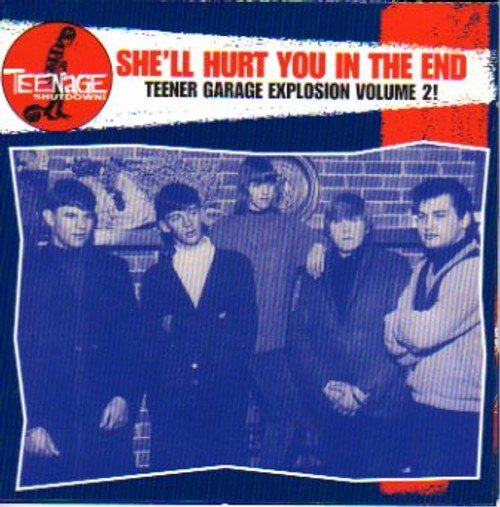 TEENAGE SHUTDOWN VOL. 8: SHE'LL HURT YOU IN THE END (CD)
