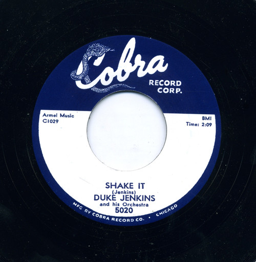 DUKE JENKINS - SHAKE IT