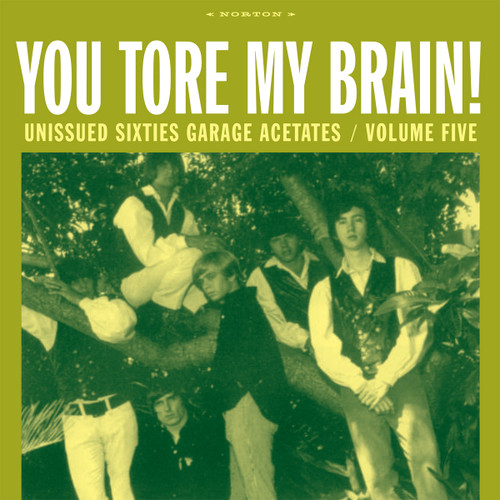 VA - UNISSUED SIXTIES GARAGE ACETATES VOL. 5: YOU TORE MY