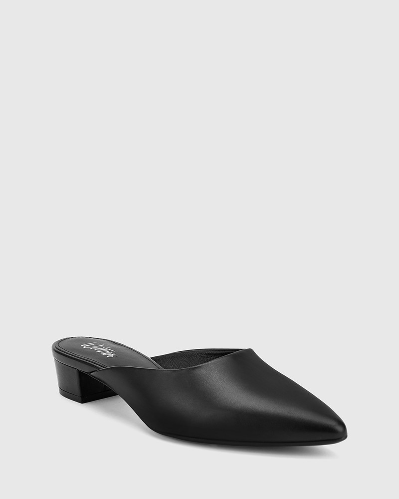 pointed toe block heel mules