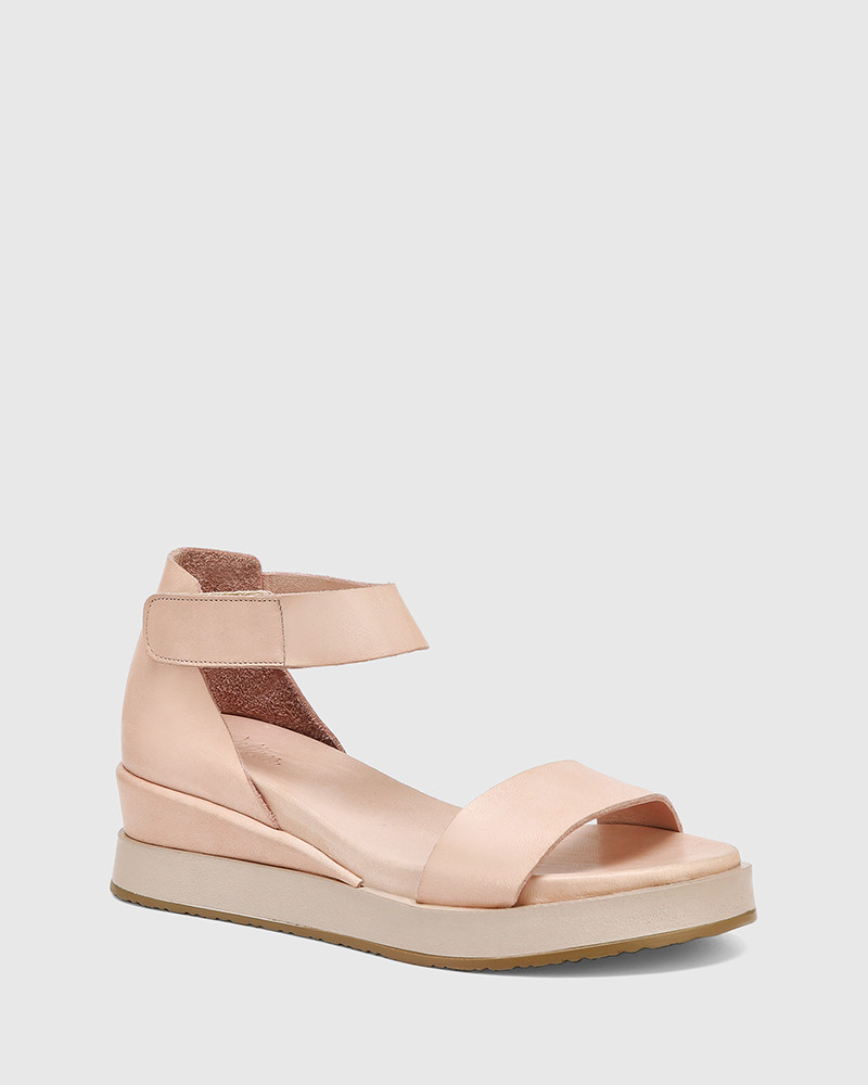 chaco sprink pine