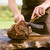 British Wagyu Tomahawk Steak