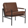 Puckman Brown/Silver Finish Accent Chair