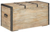 Dartland Whitewash Storage Trunk