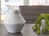 Domina White Jar (2/CS) Large