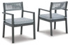 Eden Town Gray / Light Gray Arm Chair With Cushion (Set of 2)