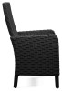 Beachcroft Outdoor Arm Chair with Cushion (Set of 2) (P792-601A)