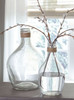 Marcin Clear Vase Set (2/CN)