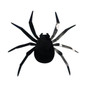 Halloween Home Decorations 70 PCS 3D Large Spider(D0101HSNYTU.)