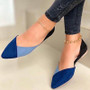 Women's Ballet Flats Loafers Autumn Flat Shoes for Women Pointed Toe PU Slip on Shallow Casual Mixed Color Ladies Shoe Women's Ballet Flats Loafers Autumn Flat Shoes for Women Pointed Toe PU Slip on Shallow Casual Mixed Color Ladies Shoe