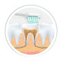Ultrasonic Electro Toothbrush With Two Additional Brush Heads Ultrasonic Electro Toothbrush With Two Additional Brush Heads