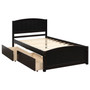Twin size Platform Bed with Two Drawers Twin size Platform Bed with Two Drawers