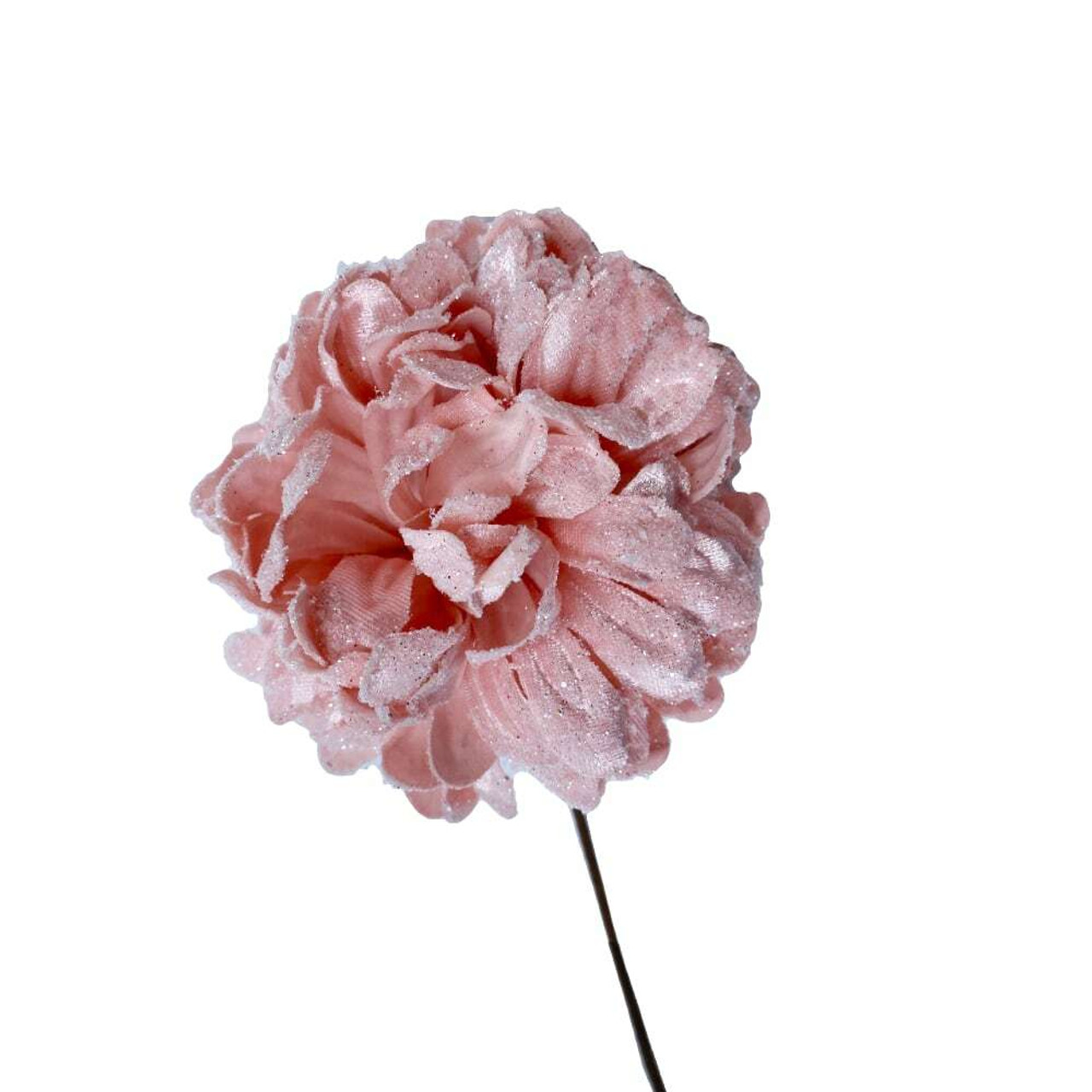 Chrysanthemum Pink Frosted