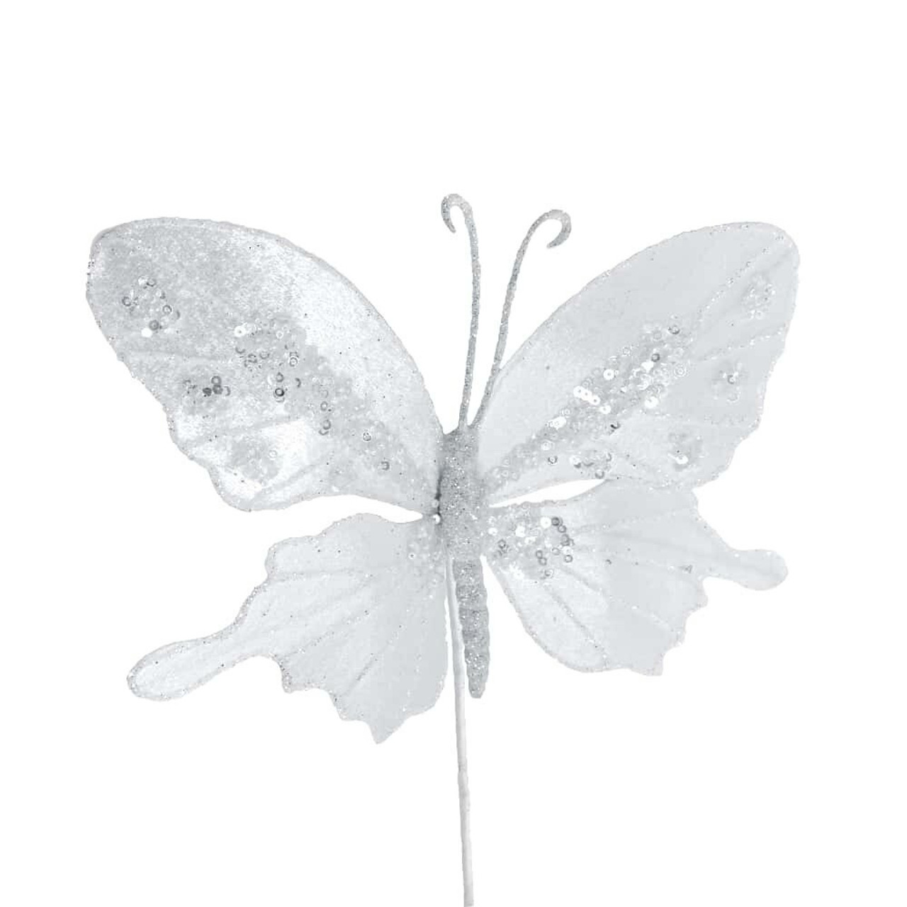 Butterfly White