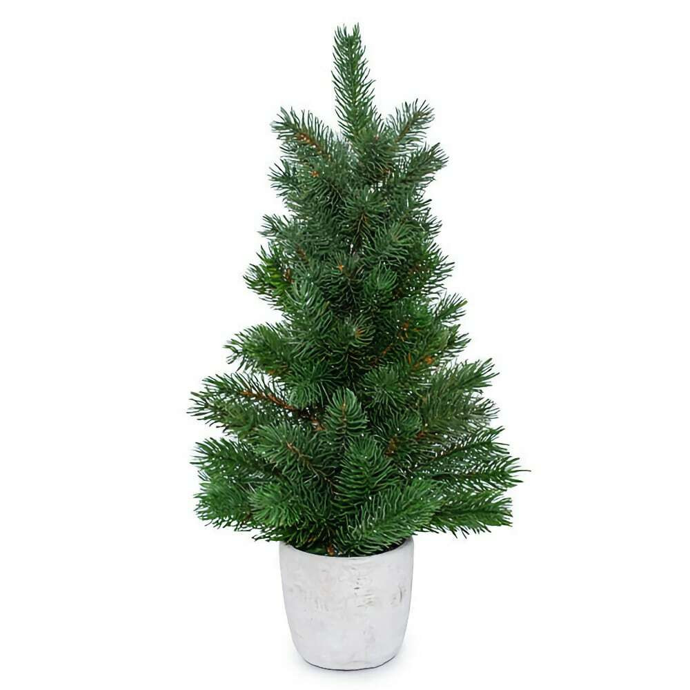  Green Christmas Pine Tree In Pot 