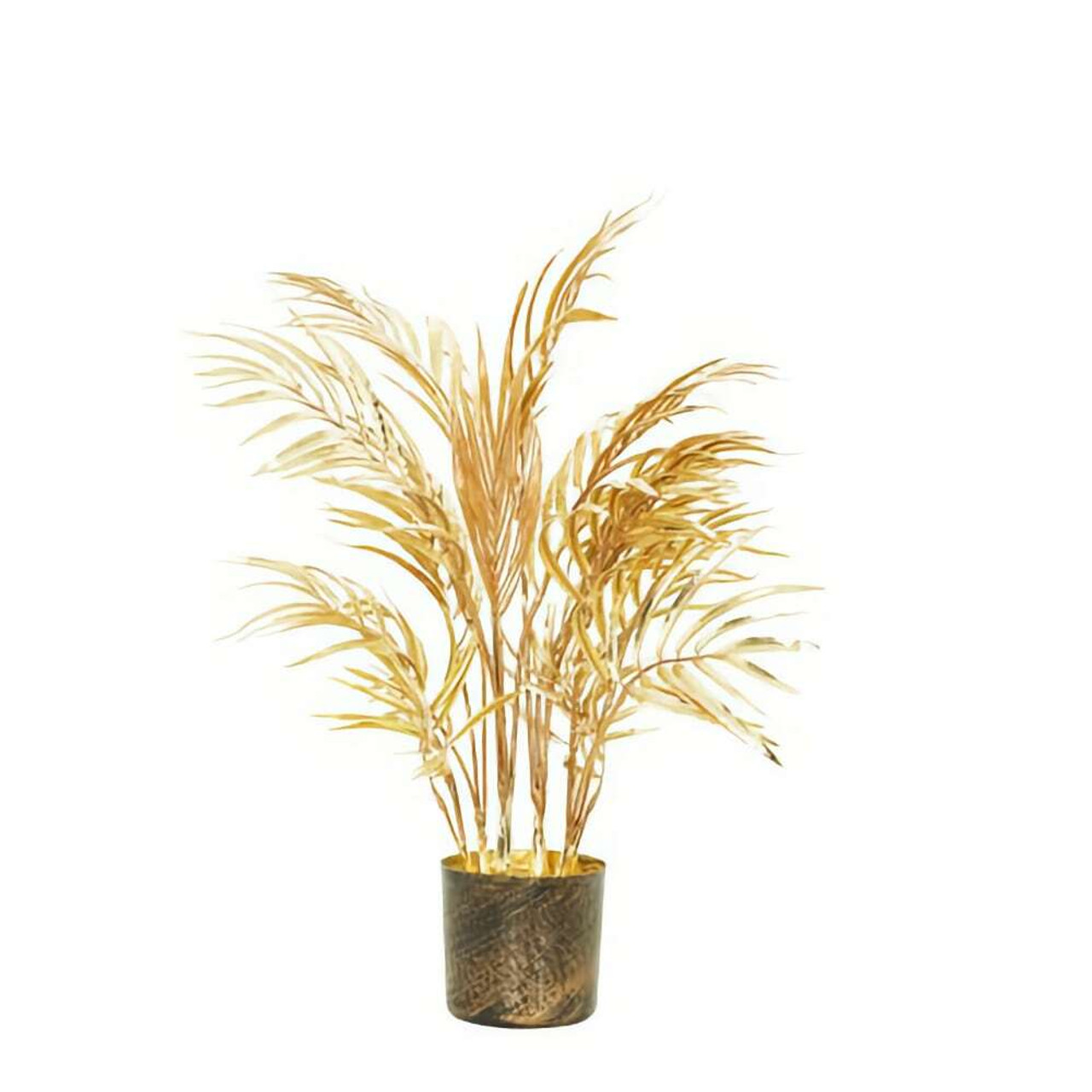 Gold Potted Areaca Palm Tree Small 