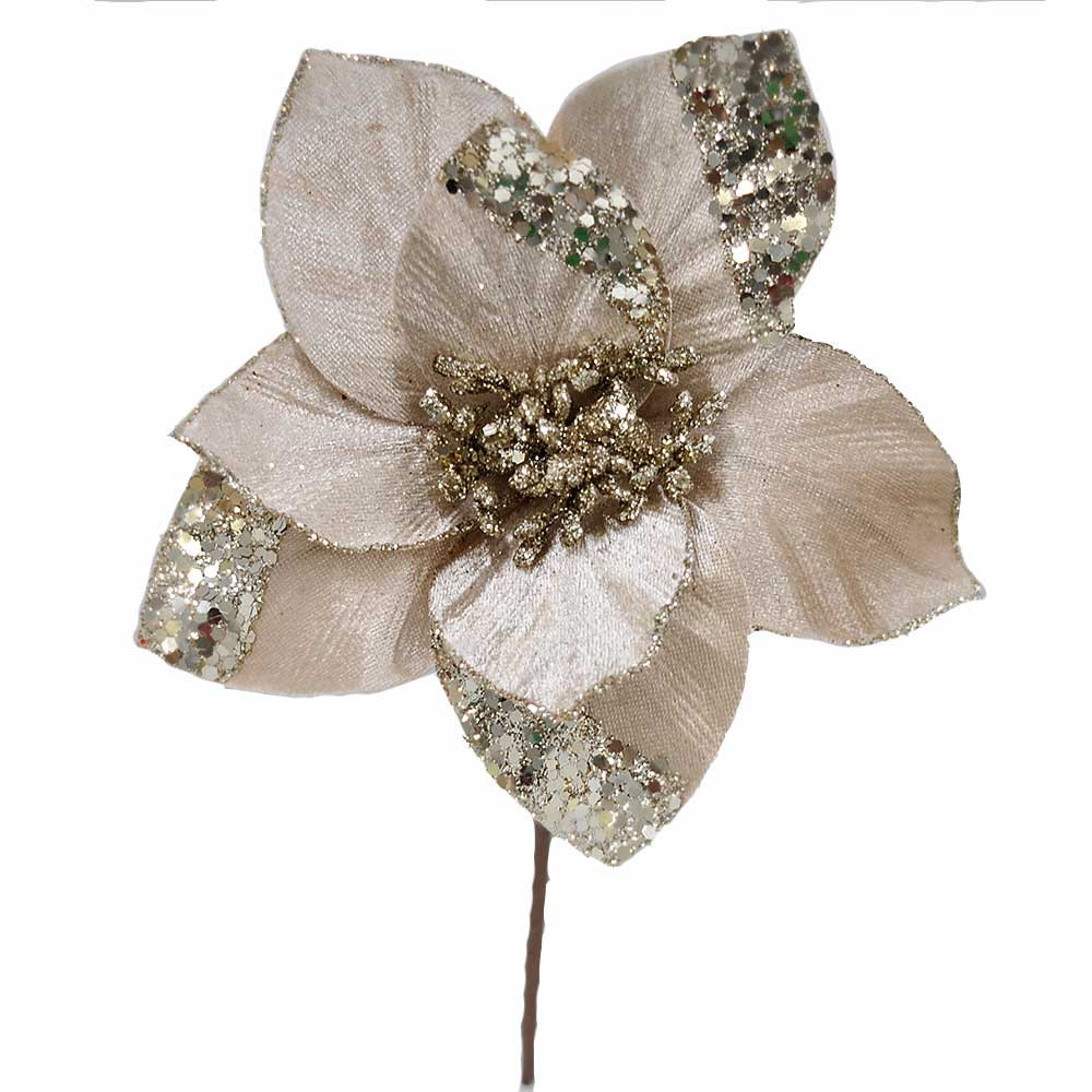 Champagne Poinsettia on Clip