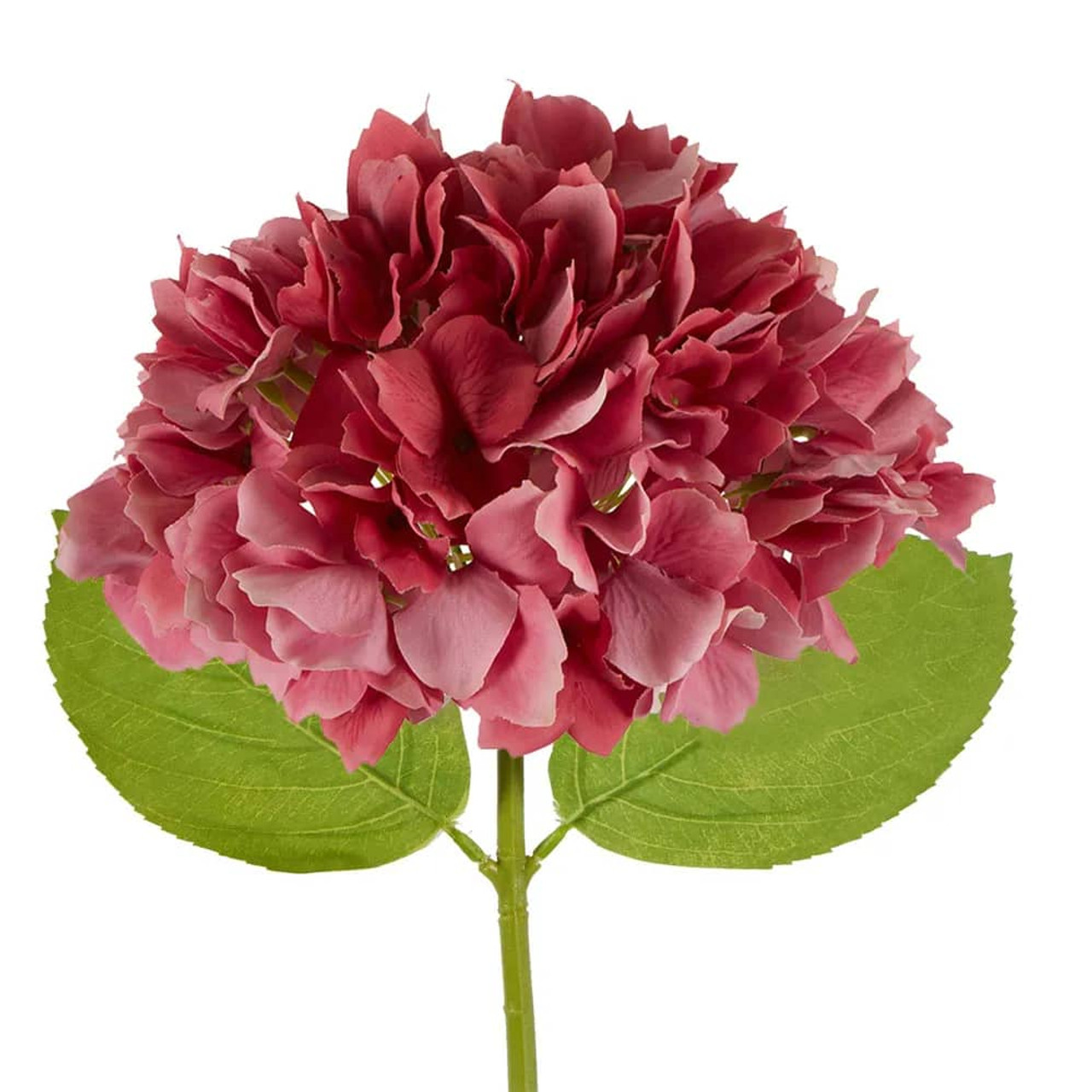 Dark Pink Hydrangea Stem