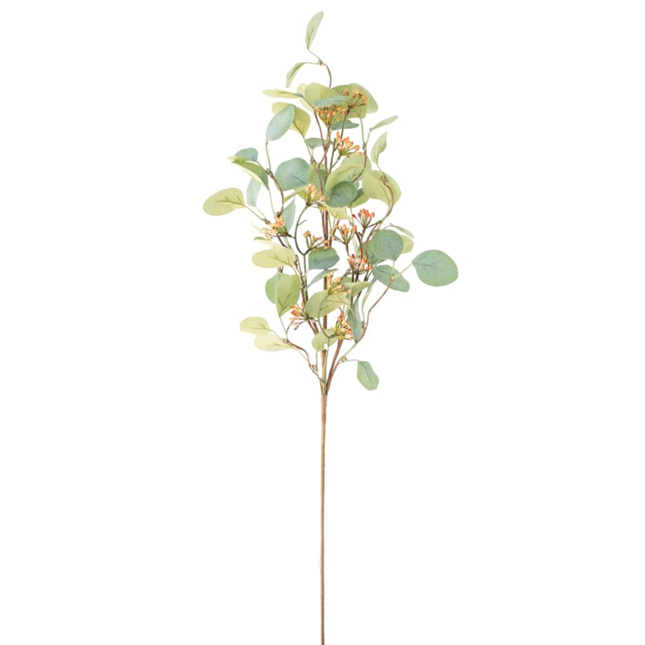 Seeded Eucalyptus Spray 