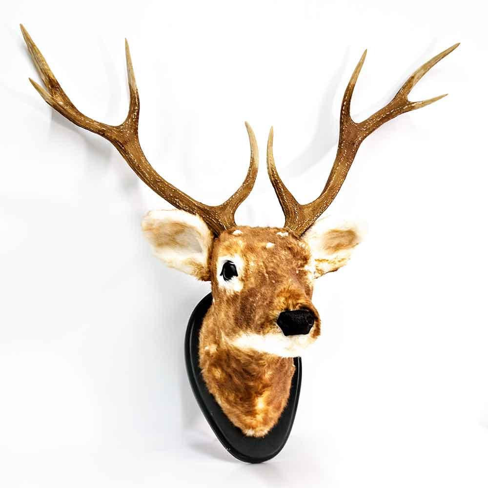 RAZ Imports Spotted Deer Head - 80cm 